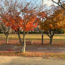 나주영산포철도공원 | 나주 여행코스 영산포 철도공원 레일바이크 아이랑 단풍 구경