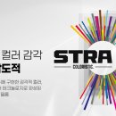 동양썬팅 - 남동구 백범로 299 | 동양썬팅