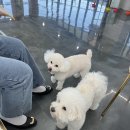 리츠펫 서산호수공원점 이미지