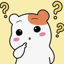모모네일(momo) 네이버블로그