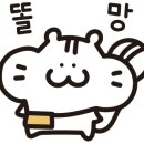 신포니아음악학원 이미지