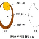 내 아이의 100세 건강보험, '현미밥' 이미지