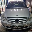 레어템(Rare-Tem) 이미지