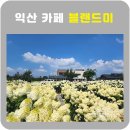 블랜드미(BLENDMI) 이미지