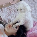데잇트 | 나 아니고 우리 둘째 입원일기 + 그리고 첫째 육아 일상