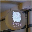 아지묭실 이미지