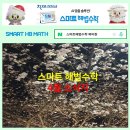 스마트해법수학 - 전주시 완산구 범안1길 36 | 스마트해법수학
