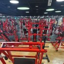 나무 휘트니스 | 서래마을헬스장 자마이카휘트니스 서래마을점 방문한 후기