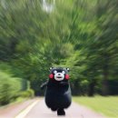 백조 어린이집 이미지