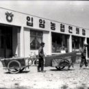 농협연쇄점 이미지