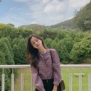 체리코코 이미지