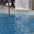 제44호 어린이공원 이미지