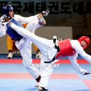 성환태권도 이미지