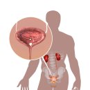 용비뇨의학과의원 이미지