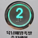 현풍 족발 맛집 &#39;평화육남매왕족발&#39;