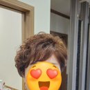 센스모 이미지