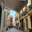 시에스타민박 | # 스페인 : 세비야 (2) / 세비야 플리마켓, 타파스 맛집, 스페인 광장