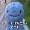 31 이미지
