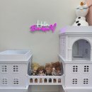 케이-클린존 | •큐리 키즈카페• 고산동 키카 추천🫧 큐리 키즈카페 의정부점