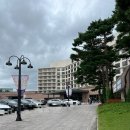 [공지] 경주 힐튼호텔 베이커리: 르구어메ㅣ라운지랑 카페 베이커리 케이크 라인업 공개