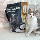 엘지유니참(주) | [LG유니참펫] 더스트솔루션 벤토나이트 후기