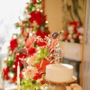 에스타시온 이미지