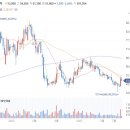 케이스터디&투어 네이버블로그