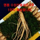 주)한국산삼공사 이미지