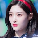 나의 댕댕이 이미지