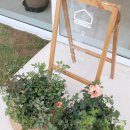 강당골마을 이미지