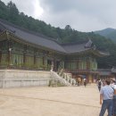 대한通불교조계종 이미지