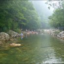 늘푸른계곡 이미지