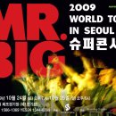 미스터빅 이미지