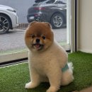 153 | 산본속눈썹펌 잘하는 곳 'YOUU153' 프리미엄 블랙펌 후기