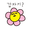 조조피자 네이버블로그