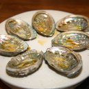 튼실이네전복 이미지