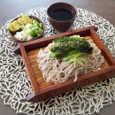 다마클럽 이미지