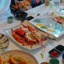 엑스포긴자 | 속초 청초호 애견동반 가능 일식 코스요리 '엑스포긴자'