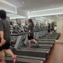 메사 휘트니스 케어&골프 | 도곡동 헬스장 웰빙휘트니스에서 지금 당장 운동을 시작해야 하는 현실적인 이유!