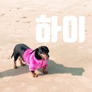 [부산/정관] 밥과 김을 리필해주는 오복수산 신세계부산아울렛점 l 부산 카이센동 맛집 추천 ㅣ 정관...