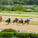 렛츠런파크 부산경남 이미지