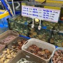 스테이어단 이미지