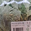 리얼버거 | [광주 동명동] 수제버거 맛집 “리얼버거 동명“ 내돈내산 후기