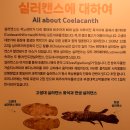 금정사 Daum카페