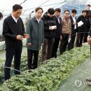 한훈농장 이미지