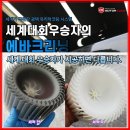 선사크리닝 | 두정동에바크리닝, 제네시스BH 쿰쿰한 에어컨 냄새 내시경 에바크리닝으로 곰팡이 박멸