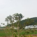 한길농원 이미지