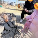 영천(대구) | [외출n체험] 대구 근교 영천 딸기체험 후기 _부농딸기 프라이빗 공간에서 보낸 2시간 30분