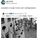 공포영화 오디션을 기다리는 검은고양이들 이미지