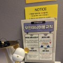 스킨하우스 - 남동구 만수로27번길 4-1 | 바디프로필·웨딩태닝까지 가능한 목동 스킨하우스 이용 후기